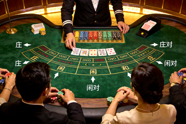 1xbet 真人百家樂遊戲現場畫面與投注區域介紹